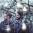 Fossil Collective Fossil Collective