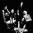 Stabbing Westward Stabbing Westward