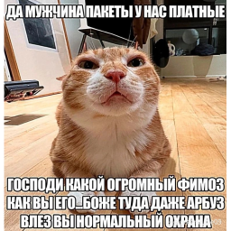 Аватар пользователя Animal