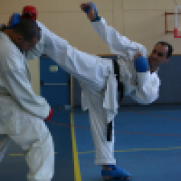 Аватар пользователя Sensei