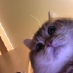 Аватар пользователя NickGirs