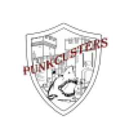 Аватар пользователя Pankcusters