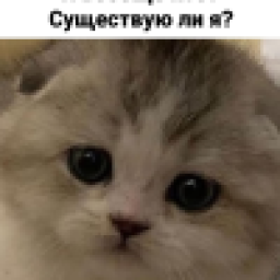 Аватар пользователя Kuki192