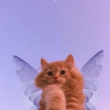 Аватар пользователя iwantpitsa