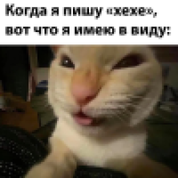 Аватар пользователя shod1k