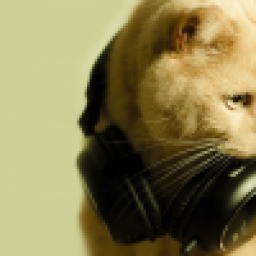Аватар пользователя soulprogrammer