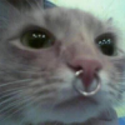 Аватар пользователя sadxd