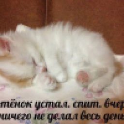 Аватар пользователя exozes