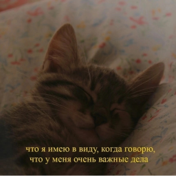 Аватар пользователя alekxsdyrochka