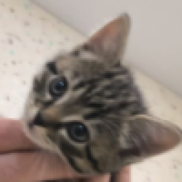 Аватар пользователя qwqqw