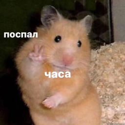 Аватар пользователя shxrky3