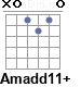 Аккорд Amadd11+